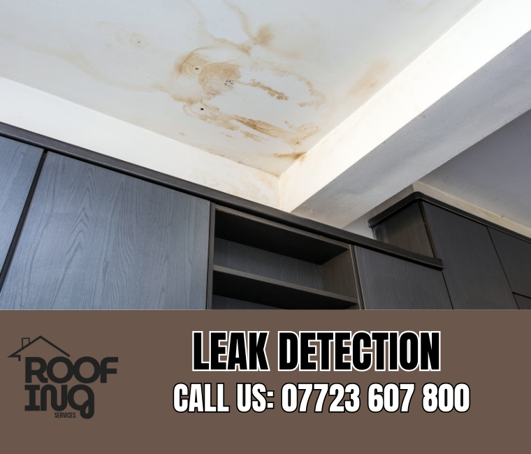 Roof leak detection and repair in Ilfracombe