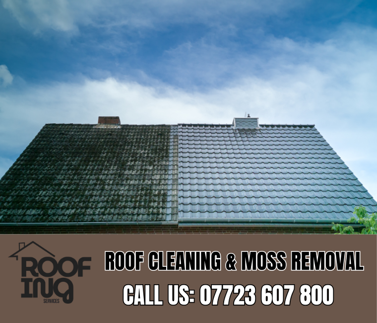 Roof cleaning and moss removal in Ilfracombe